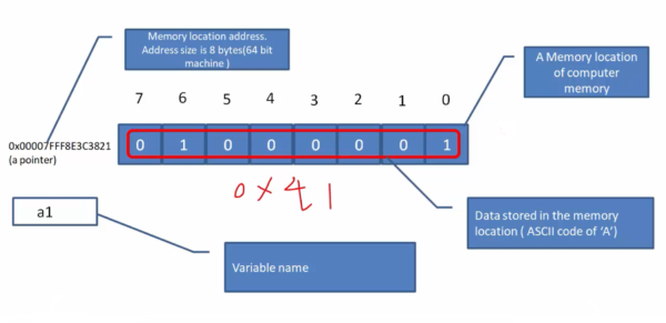 How to print the Memory location address of a variables in C?