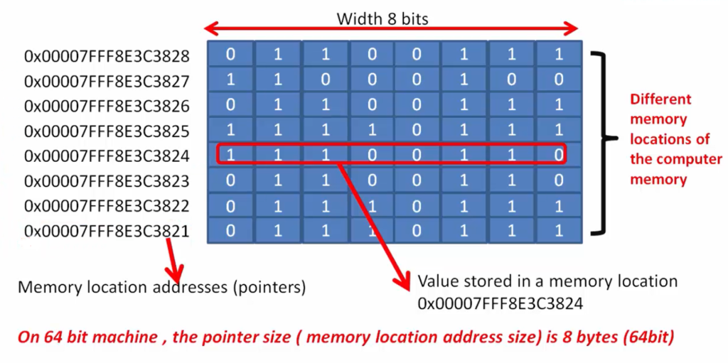 Pointer Variables and Pointer Data Types in C Programming