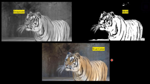 Read more about the article STM32-LTDC, LCD-TFT, LVGL (MCU3) Lecture 8| Important pixel formats