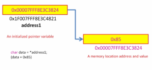 Read more about the article Microcontroller Embedded C Programming Lecture 74| Read and Write operation on pointers