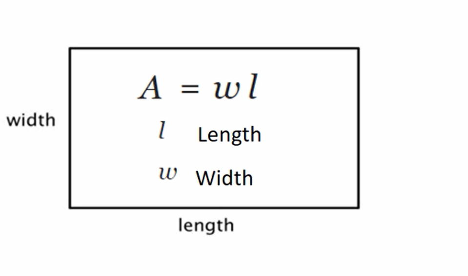 switch case exercise