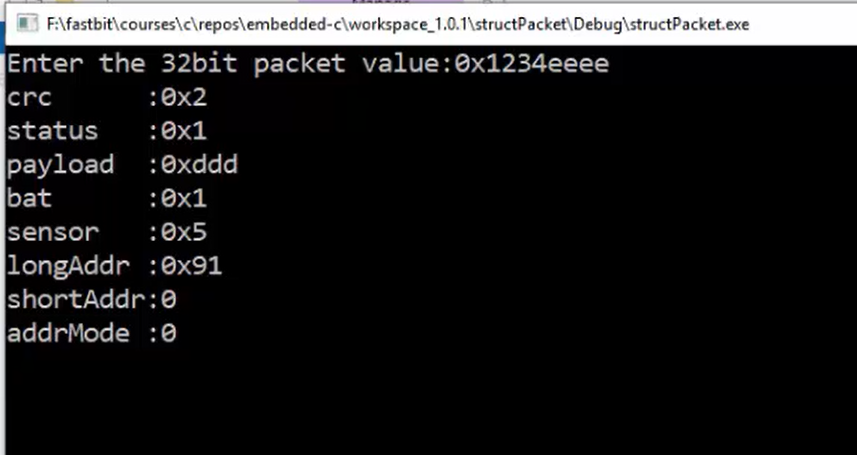 Structure exercise in C 32-Bit Packet Fields