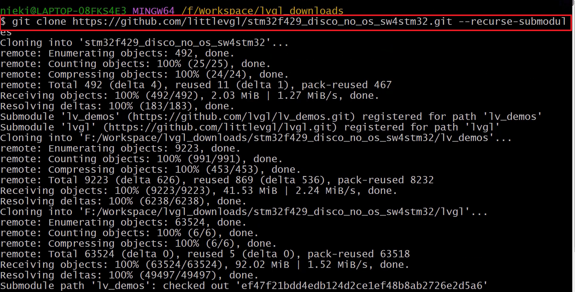 Figure 5. Paste the git clone code